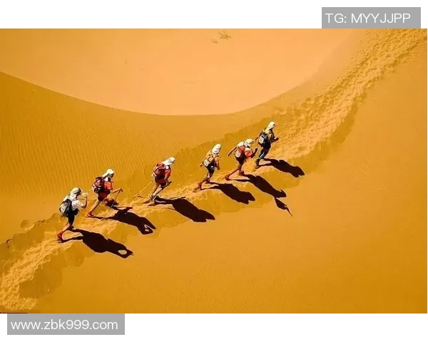 深圳乒乓球队逆袭之旅挑战赛特别报道展现拼搏精神与团队力量 深圳乒乓球队逆袭之旅挑战赛特别报道展现拼搏精神与团队力量